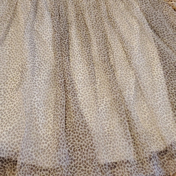 🐆 - Picture 2 of 6